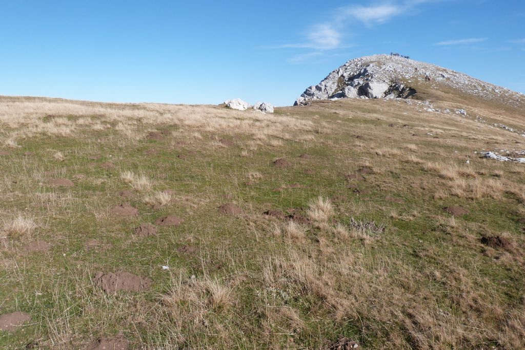 Punta Almana (1.390 m) per la variante alta del 